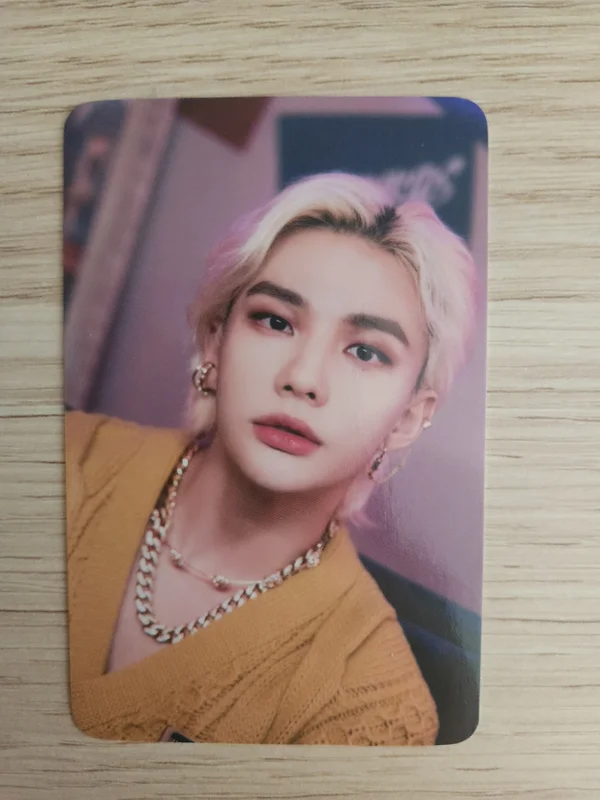 Stray kids skzoo pop up the victory