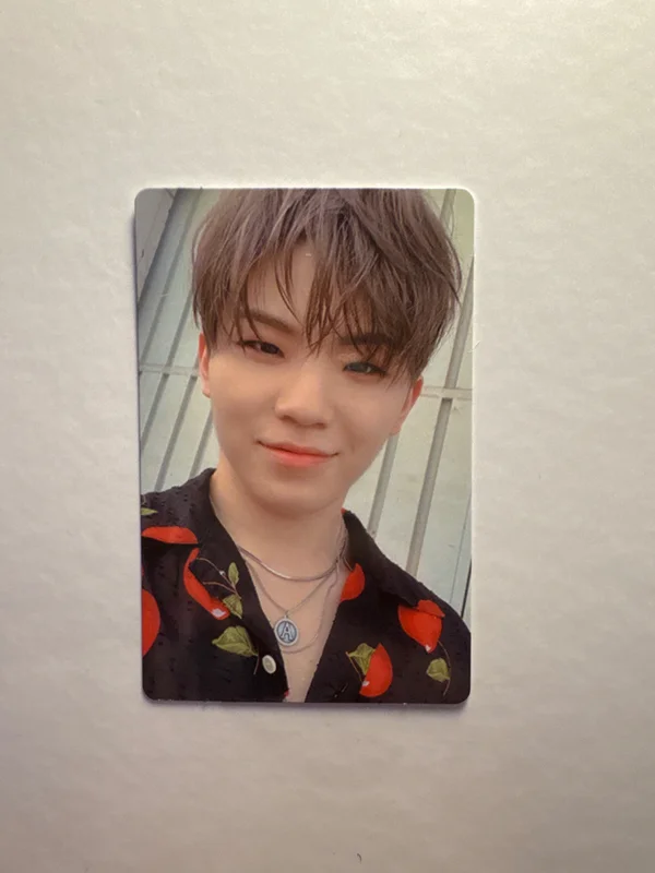 WOOZI | An Ode Real ver.