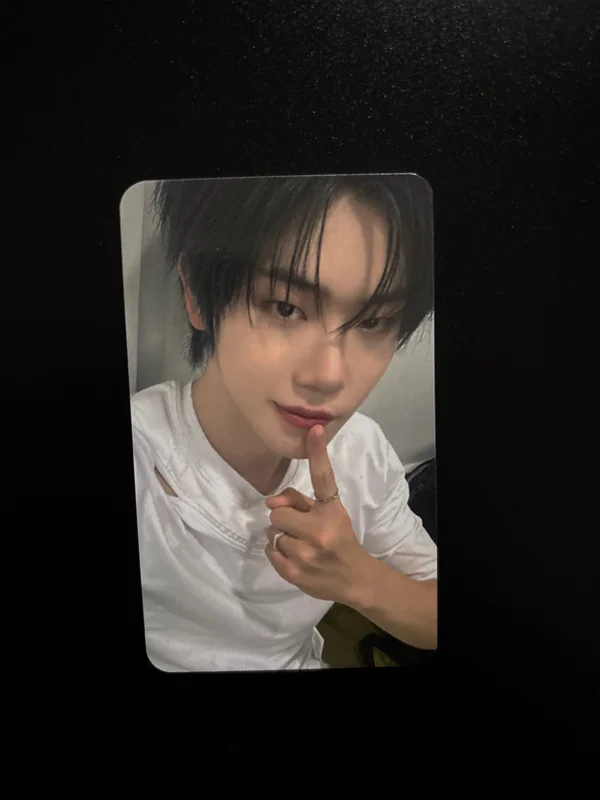 Snowy Summer BROADCAST