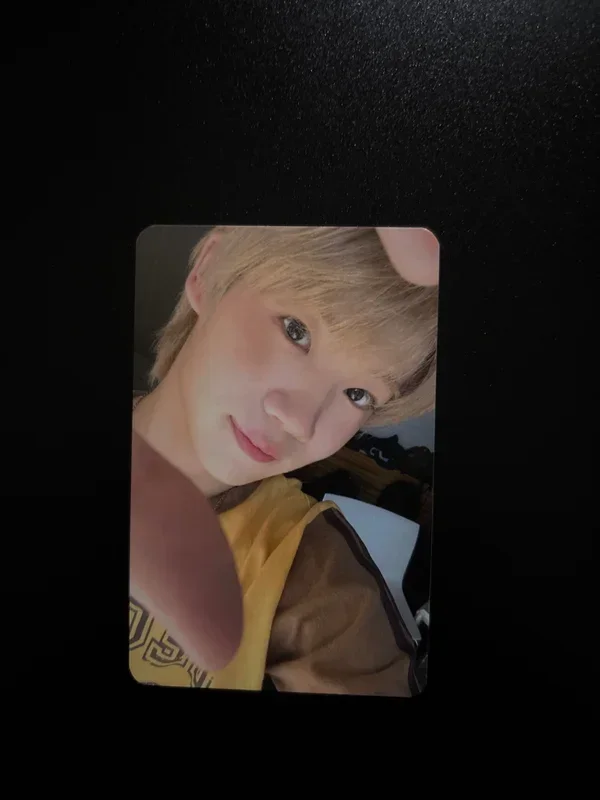 Snowy Summer SOUND WAVE