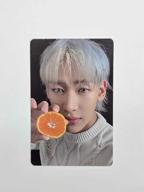 2025 GOT7 CONCERT NESTFEST RANDOM TRADING PHOTO CARD SET