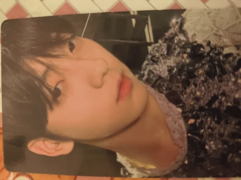 The Name Chapter: FREEFALL WEVERSE