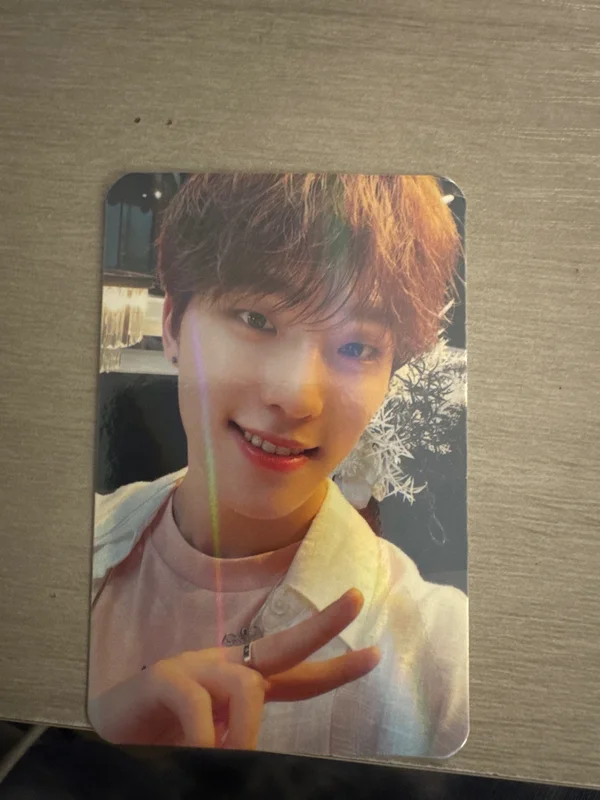 DINO SECTOR 17 ON INN ASIA