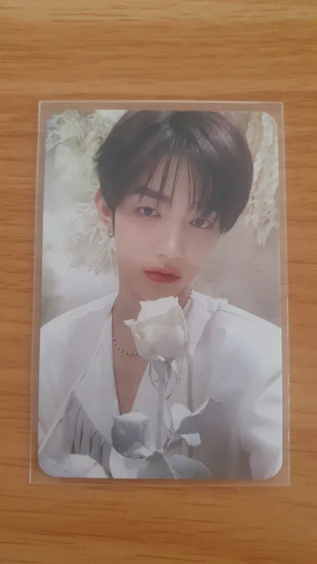 BLUE PARADISE SHOWCASE