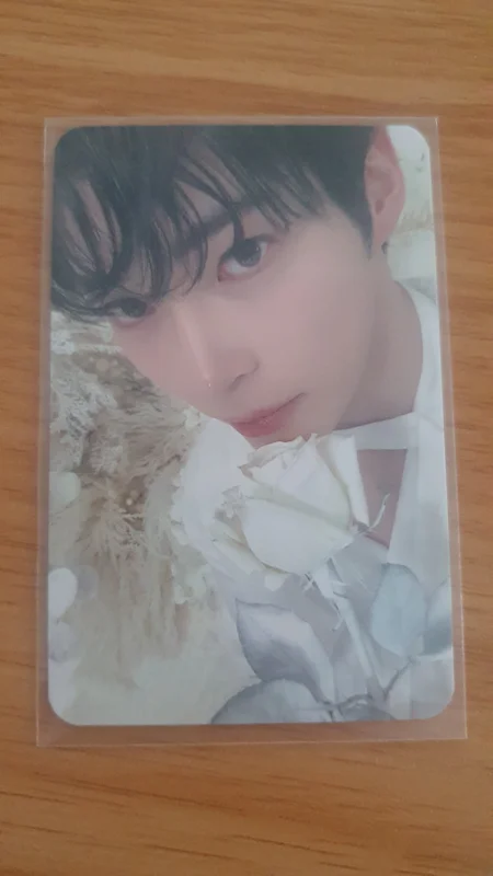 BLUE PARADISE SHOWCASE