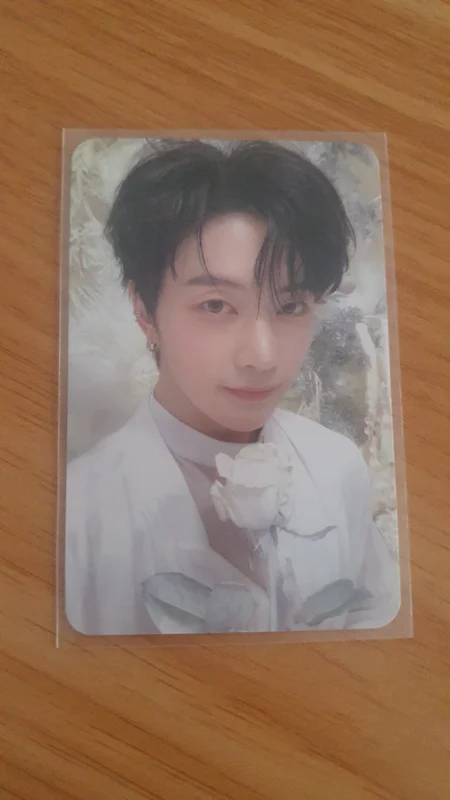 BLUE PARADISE SHOWCASE