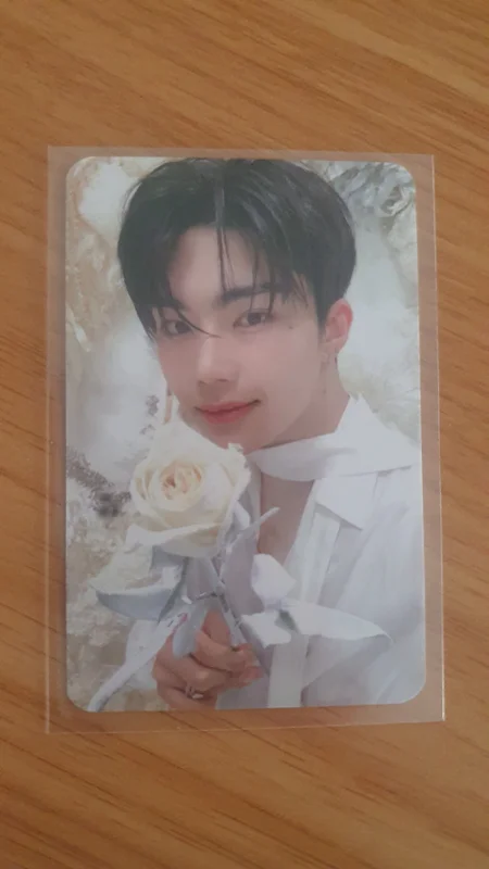 BLUE PARADISE SHOWCASE