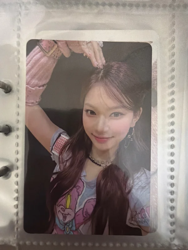 Teddy Bear Gift Edition Ver.