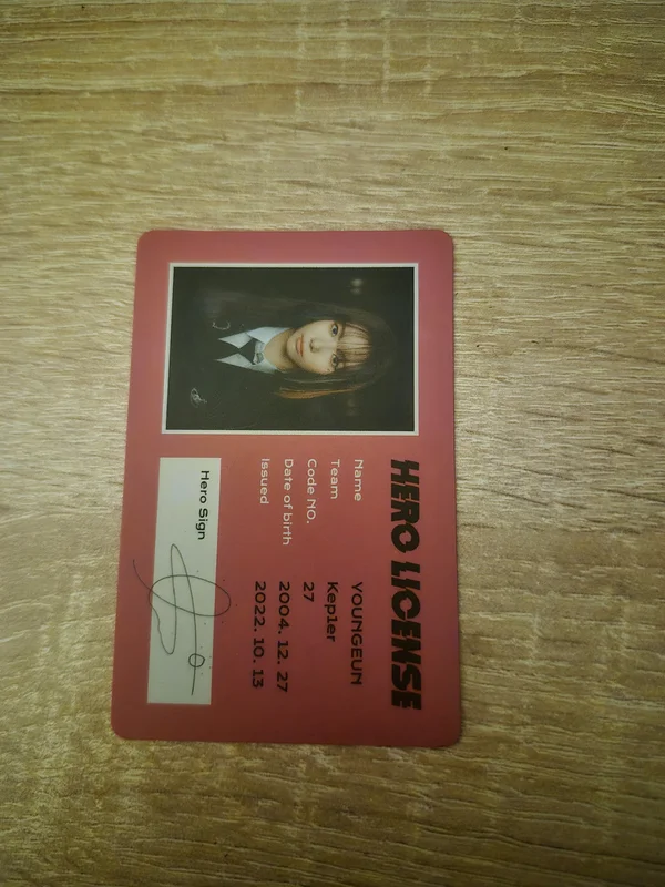 Youngeun TROUBLESHOOTER ID CARD