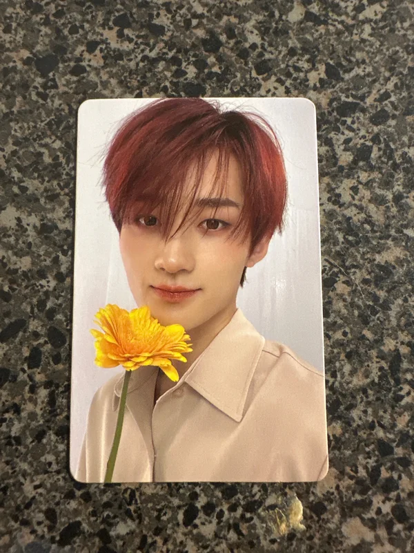 Whole D ver