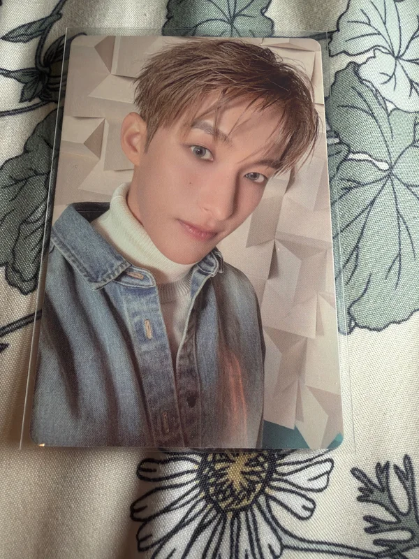 Serenade US/EU Exclusive