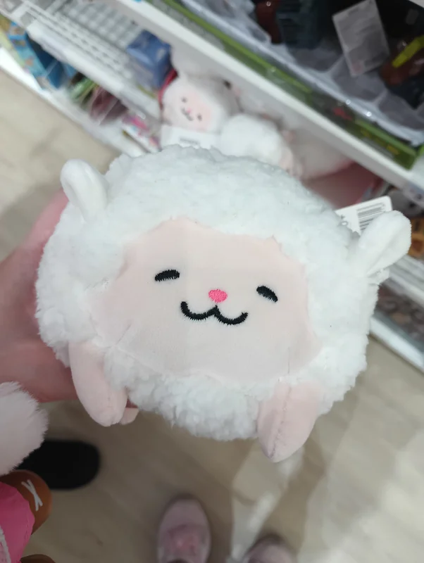 dollysheep
