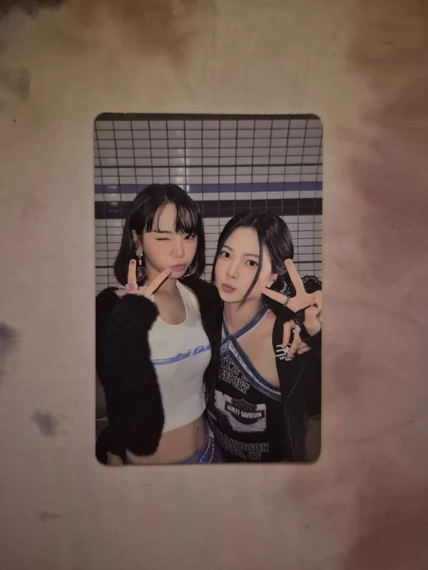 ANTIFRAGILE COMPACT Ver.