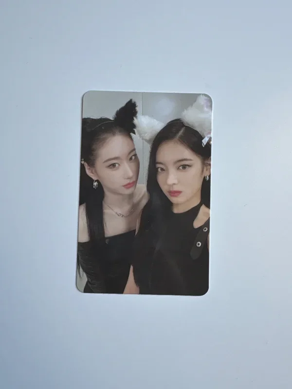 CHESHIRE STANDARD EDITION