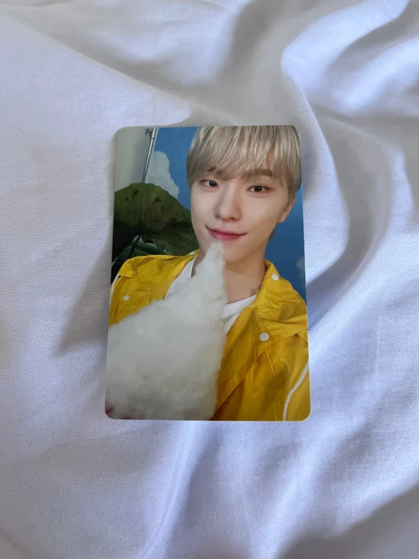 Dino heaven carat vers