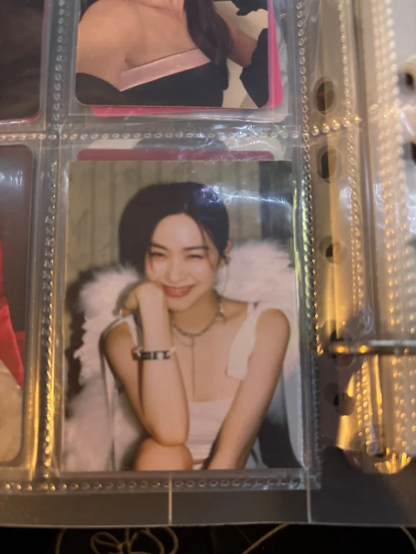 CHESHIRE SPECIAL EDITION