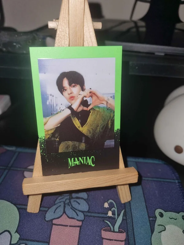 Official Stray Kids Seungmin Maniac World Tour Polaroid