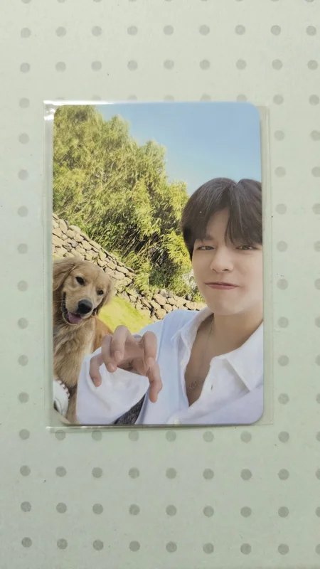 Stay in STAY in JEJU EXHIBITION "TO STAY, FROM STRAY KIDS" SKZOO STORE