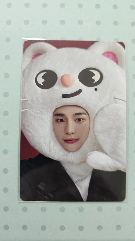 MAXIDENT JYP SHOP
