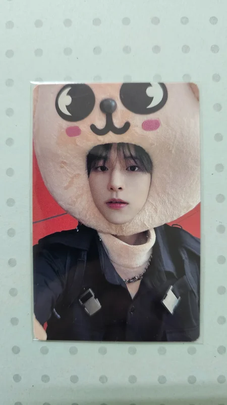 MAXIDENT JYP SHOP