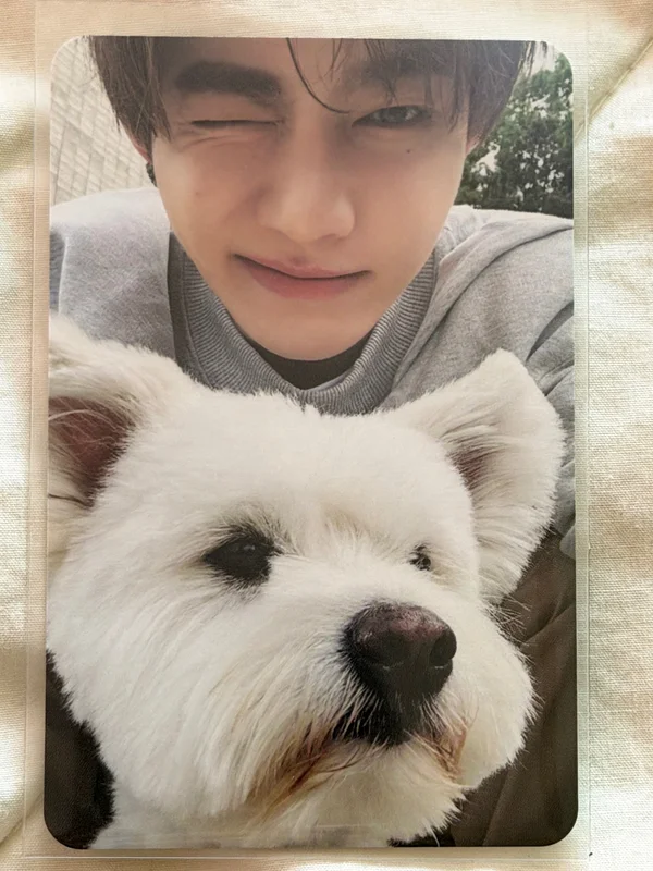 NEVER SAY NEVER DIGIPACK Ver.