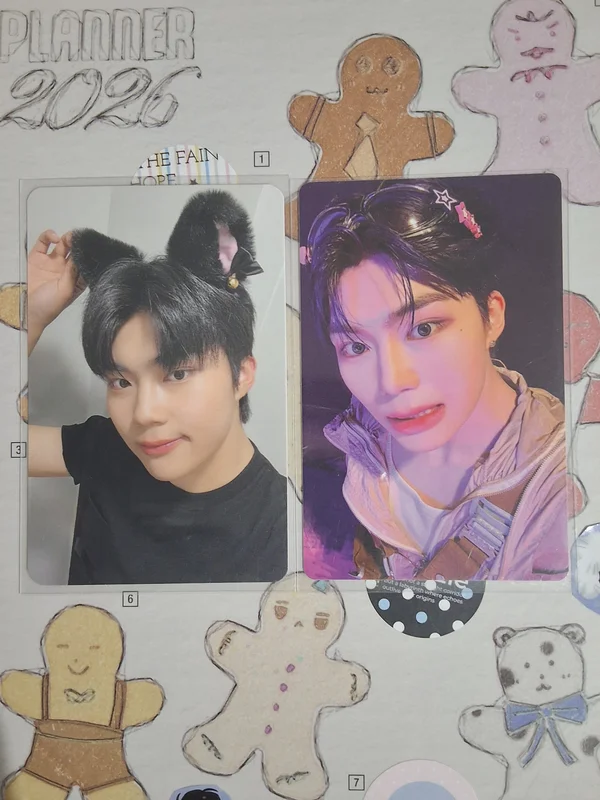 Gunwook cat ears YOUTH IN THE SHADE MAKESTAR