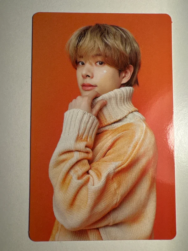 JAKE DIY PHOTO CARD GARLAND