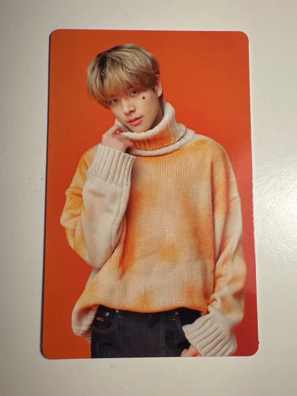 JAKE DIY PHOTO CARD GARLAND