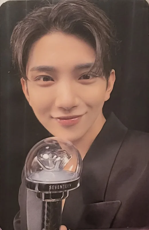 SEVENTEEN RIGHT HERE WORLD TOUR CARAT ZONE