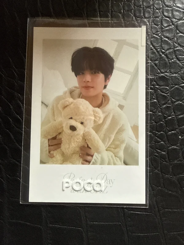 Stray Kids 2024 SEASON'S GREETINGS - Perfect Day with SKZ