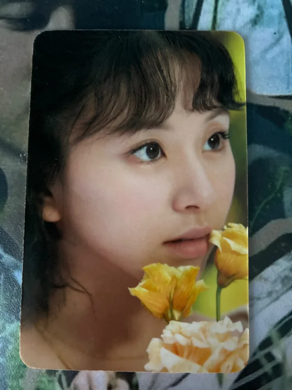 DICON D'FESTA MINI EDITION:TWICE