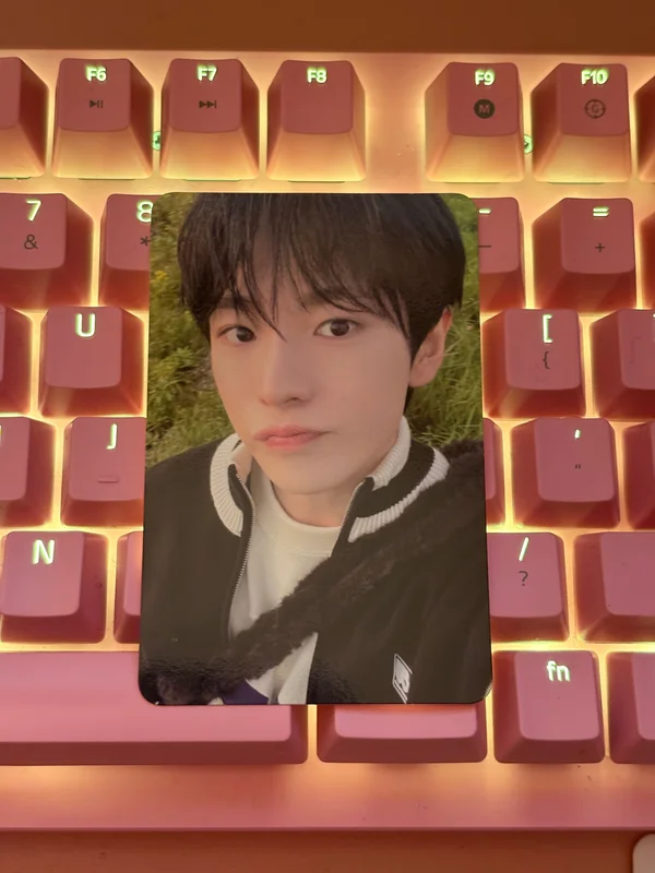 LETS GO STEADY RANDOM TRADING CARD SET A VER.