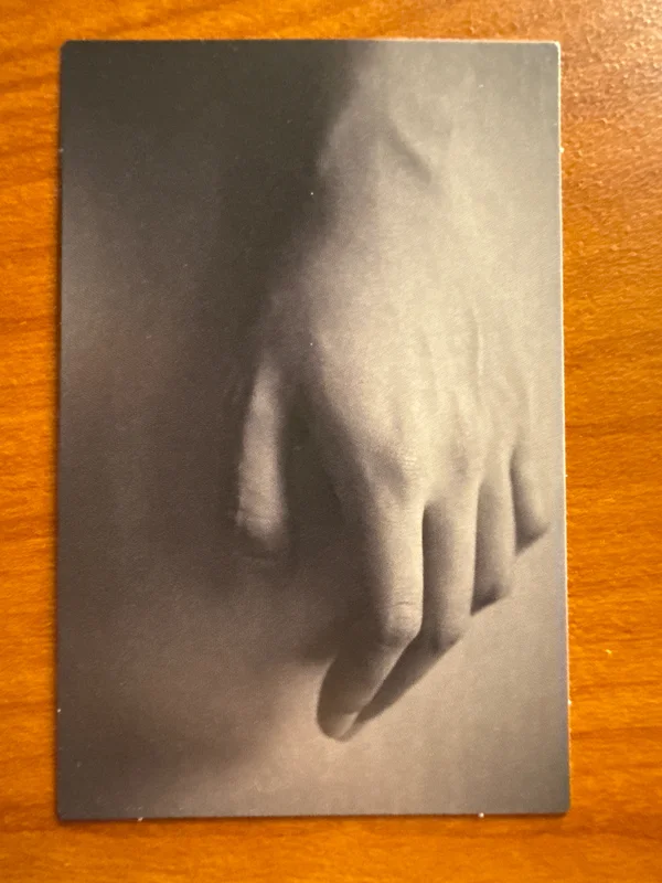 Indigo (Book Edition)