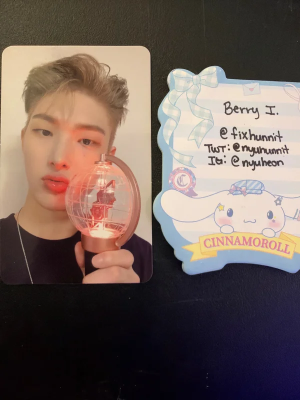 OFFICIAL LIGHT STICK CASE