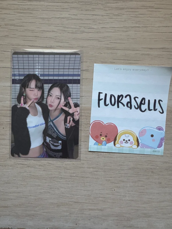 ANTIFRAGILE COMPACT Ver.