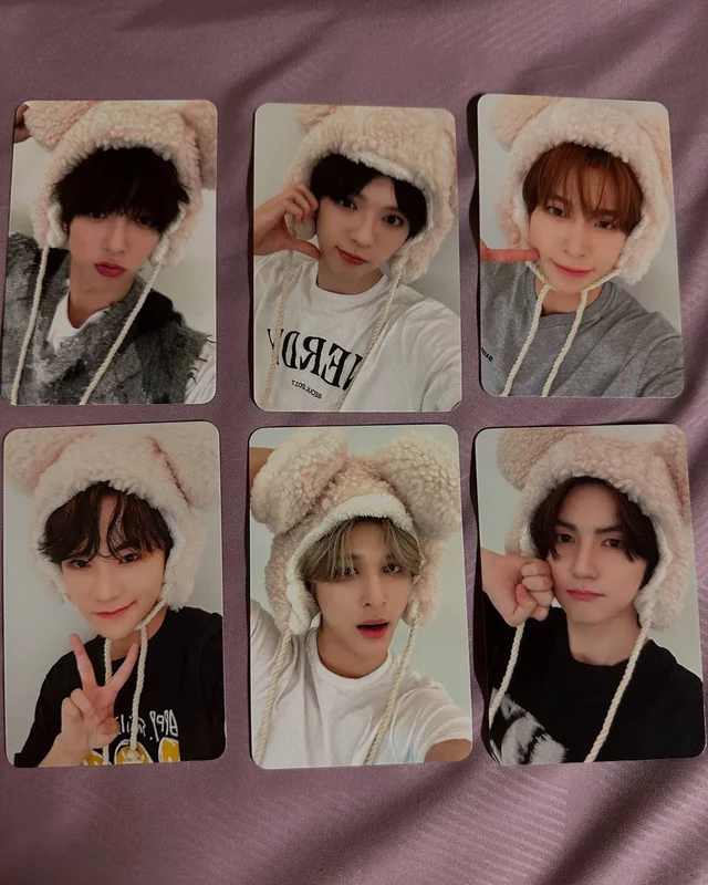 WildNFree EVERLINE Bear POB