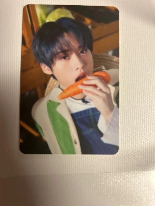 2023 SEASON'S GREETINGS SKZ's Mini World