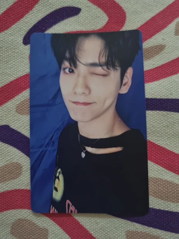 Chaotic Wonderland UNIVERSAL