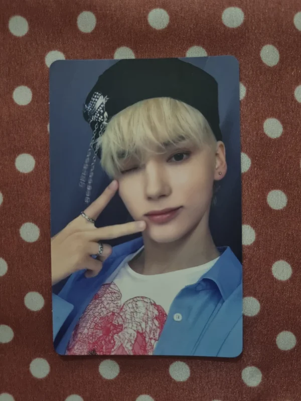 Chaotic Wonderland UNIVERSAL