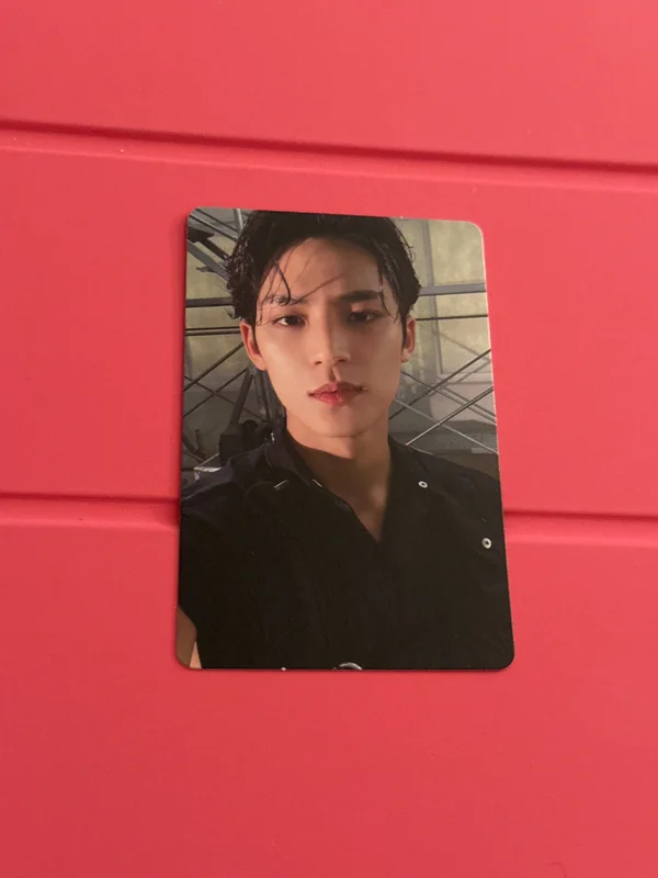 CARAT MEMBERSHIP KIT