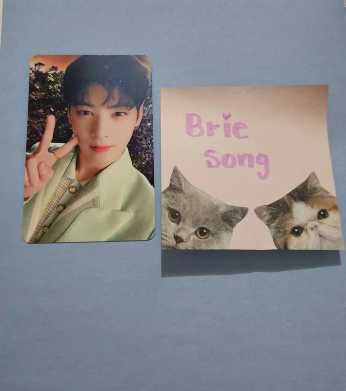 DRIVE TO THE STARRY  ROAD