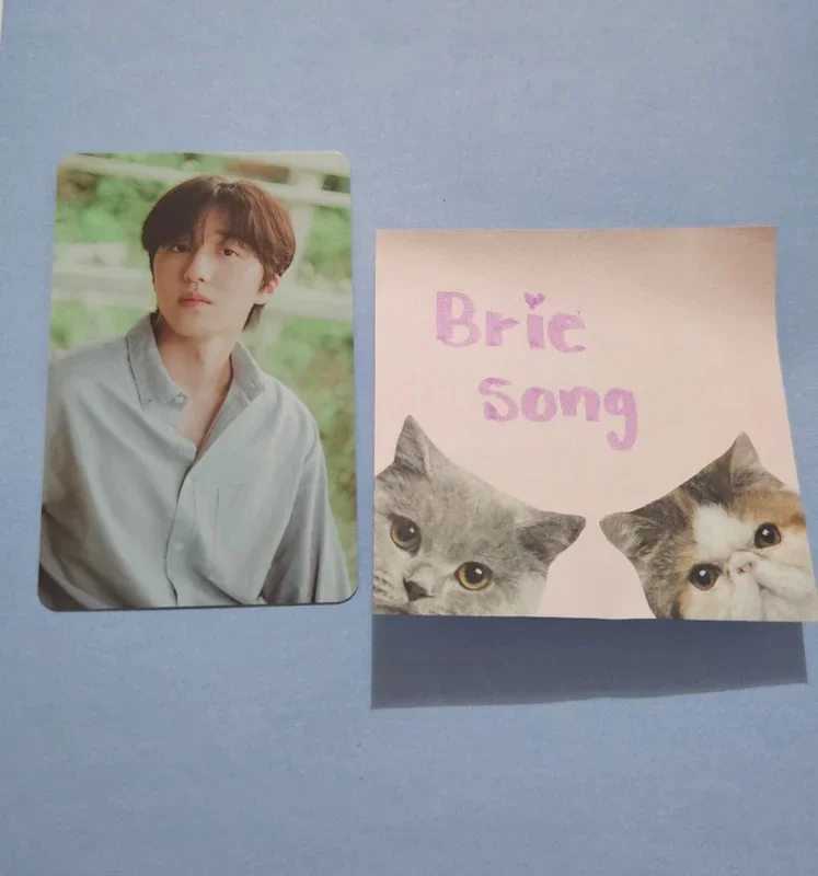 COMMA PHOTO CARD SET