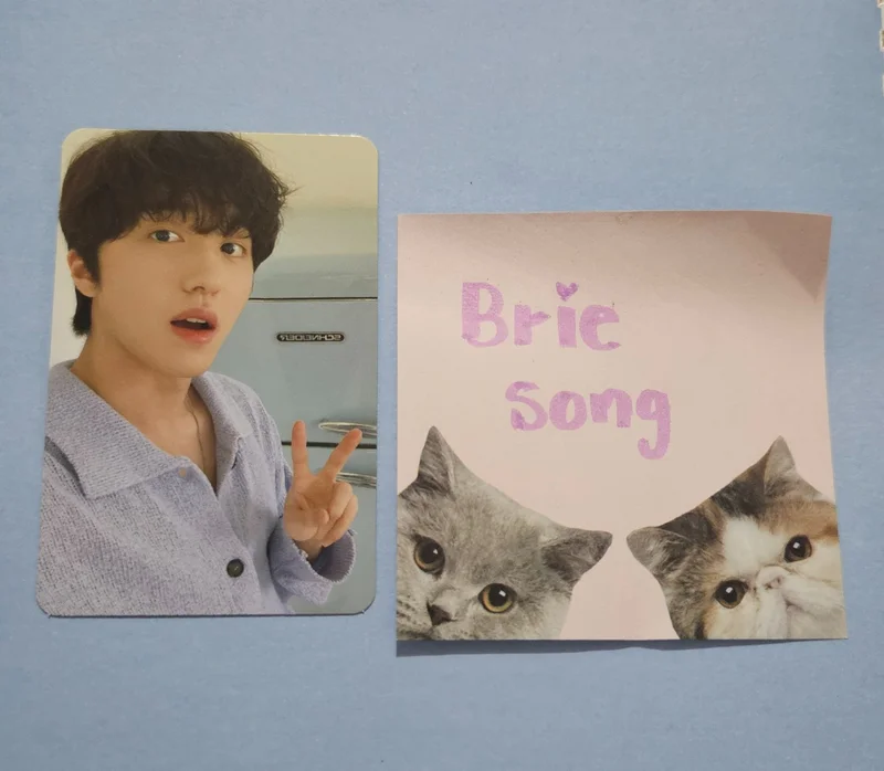 COMMA PHOTOCARD ALBUM