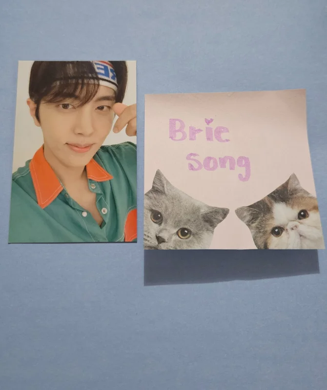 FANMEETING REPLAY, FANTASY