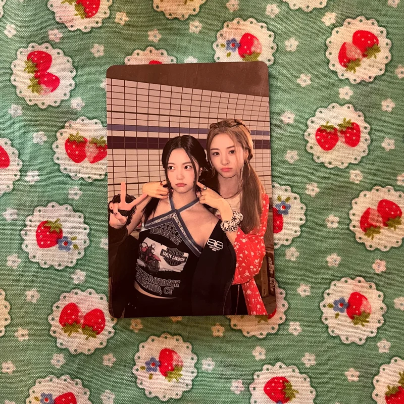 ANTIFRAGILE COMPACT Ver.