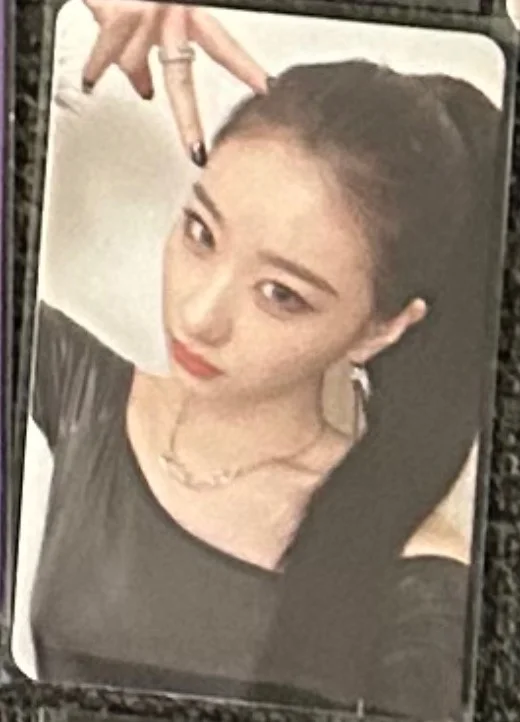 CHESHIRE STANDARD EDITION