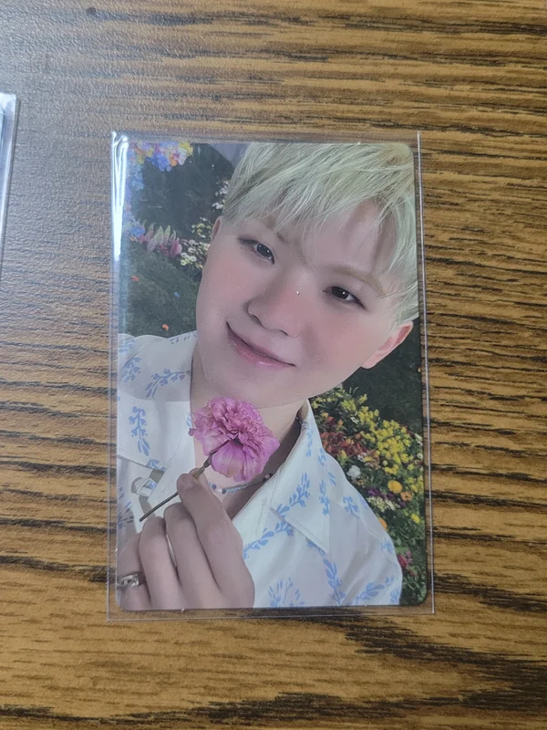 Woozi sector17 compact