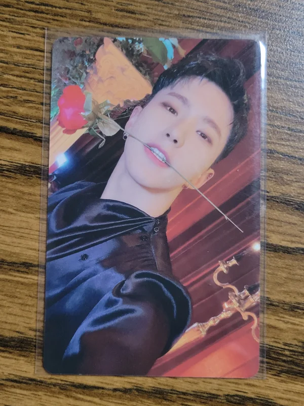 Hoshi seasons greeting 2023