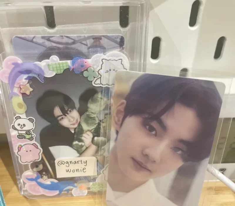 hakanai standard jungwon