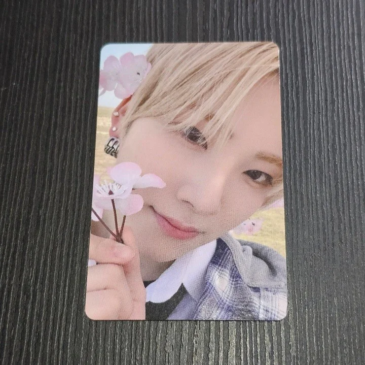 2024 Weverse Con Festival weverse Photo Card Booth